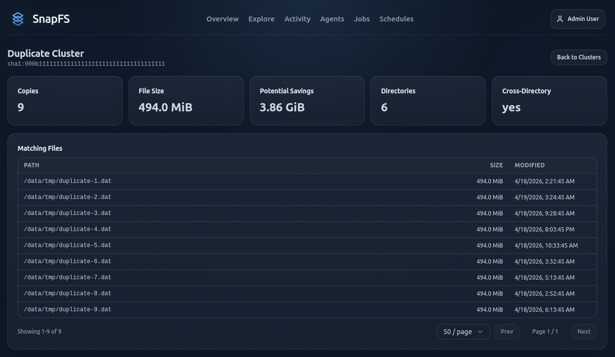 Duplicate Cluster